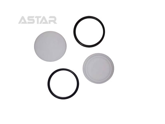 1010354 AP01.1 Zastosowanie pompy ochronnej pierścień blokujący płyn