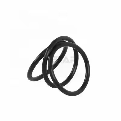 1095885 Polerowane pompy powłokowe Tribo Encore Gen II O Rings Custom OEM Support