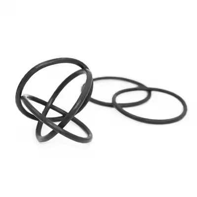 1095885 Polerowane pompy powłokowe Tribo Encore Gen II O Rings Custom OEM Support